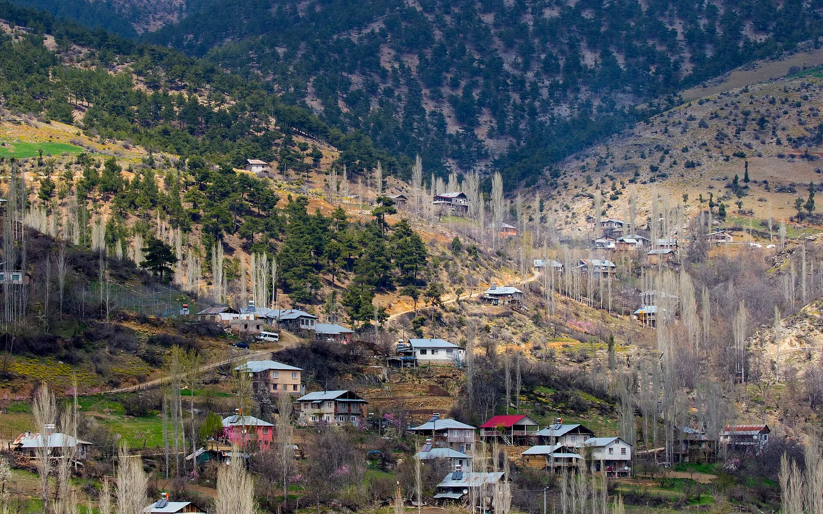 Satılık villa — örnek portföy görseli